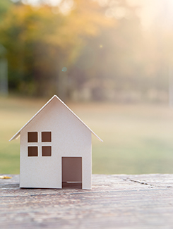 mini house